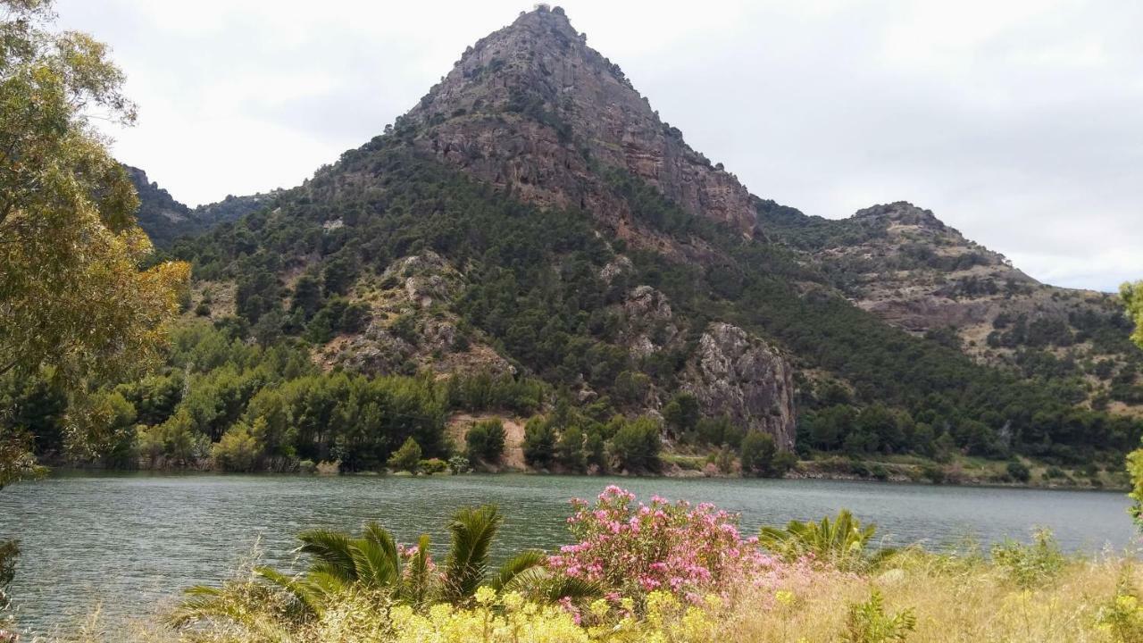 Casa Encina - Encinasola Turismo Rural. Alora Ngoại thất bức ảnh